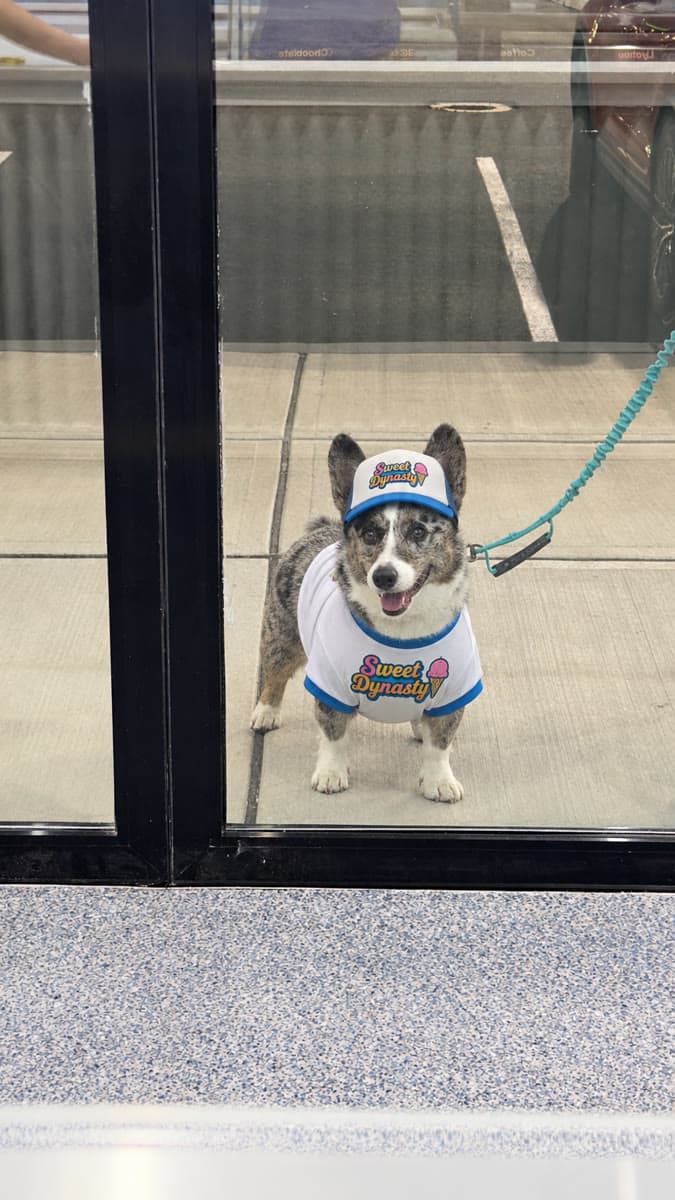 A four-legged fan at the door